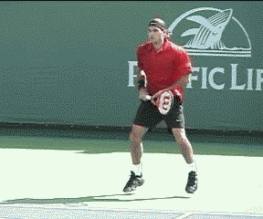Federer