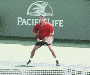 Federer